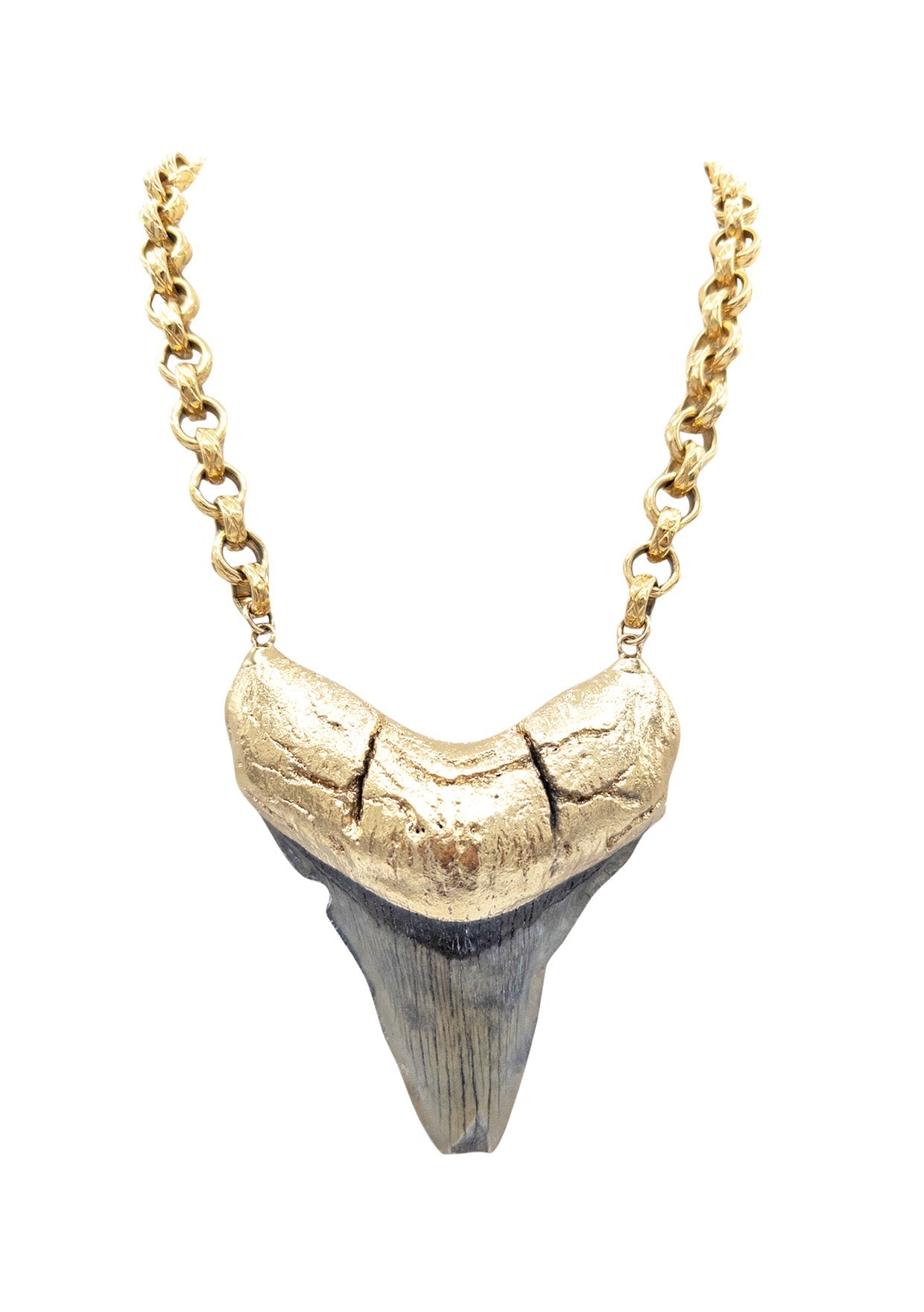 Shark Tooth in Gold Foil Pendant Necklace