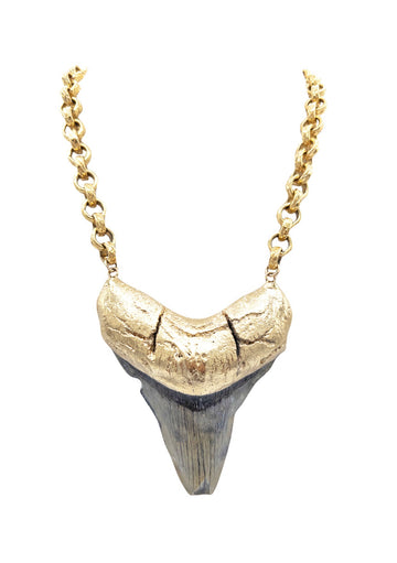 Shark Tooth in Gold Foil Pendant Necklace